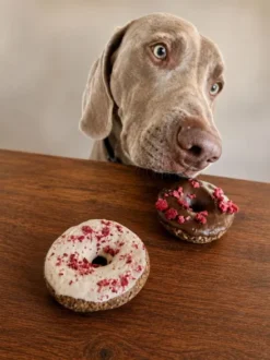 Assortiments de 3 gâteaux pour chien Puppy Pralines 🍩 – Cooka's Cookies