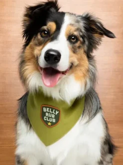 Badge thermocollant Belly Rub Club - Scout's Honour