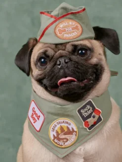 Badge thermocollant Good Boy - Scout's Honour