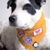 Badge thermocollant Rescue - Scout's Honour