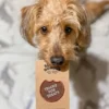 Badge thermocollant Tricks for Treats - Scout's Honour