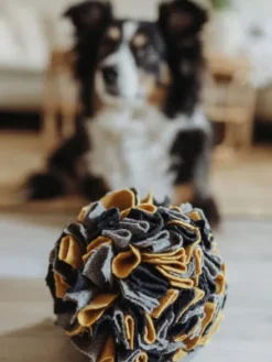 Balle de fouille pour chien - Hunter