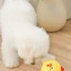 Balle en peluche pour chien - Farmz Friends Poussin 🐤 - HugSmart
