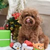 Balle en peluche pour chien - Père Noël 🎅 - HugSmart