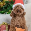 Balle en peluche pour chien - Renne de Noël 🦌 - HugSmart