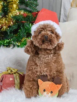 Balle en peluche pour chien - Renne de Noël 🦌 - HugSmart