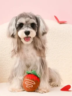Balle en peluche pour chien - Woof Love Fraise chocolat 🍓🍫 - HugSmart