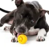 Balle Orbee Tuff pour chien - Smiley - Eco-friendly et durable