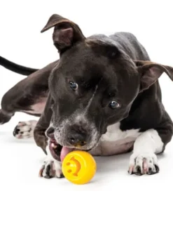 Balle Orbee Tuff pour chien - Smiley - Eco-friendly et durable