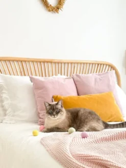 4 balles en laine feutrée pour chat - Coloris Fairy - District 70