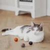 4 balles en laine feutrée pour chat - Coloris Pure - District 70