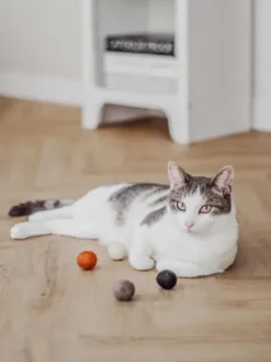 4 balles en laine feutrée pour chat - Coloris Pure - District 70
