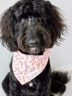 Bandana de Noël pour chien - Motif Candyland Rose - The Paws