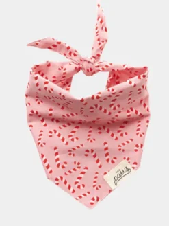 Bandana de Noël pour chien - Motif Candyland Rose - The Paws