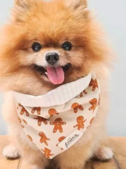 Bandana de Noël pour chien - Motif Little Ginger - The Paws