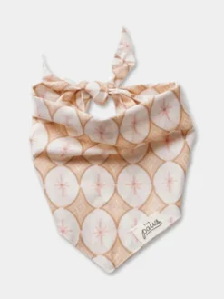 Bandana d'Hiver pour chien - Motif champagne - The Paws