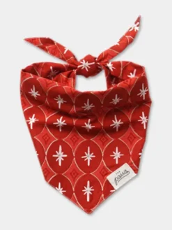 Bandana d'Hiver pour chien - Motif Cranberry - The Paws