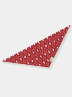 Bandana d'Hiver pour chien - Motif Cranberry - The Paws