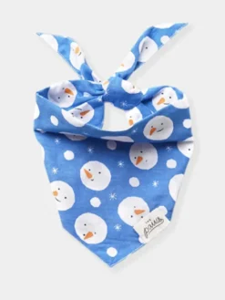 Bandana d'Hiver pour chien - Motif Chilly - The Paws