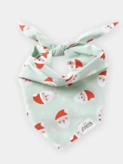 Bandana d'Hiver pour chien - Santa 🎅 - The Paws