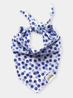 Bandana pour chien - Berry - The Paws