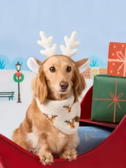 Bandana pour chien en tricot - Reindeer 🦌 - The Foggy Dog
