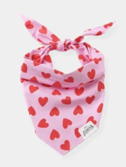 Bandana pour chien - Love Story - The Paws