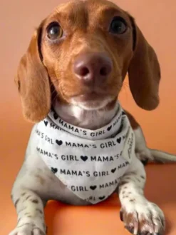 Bandana pour chien - Mama's Girl - The Paws