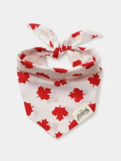 Bandana pour chien - Motif Banff 🍁 - The Paws
