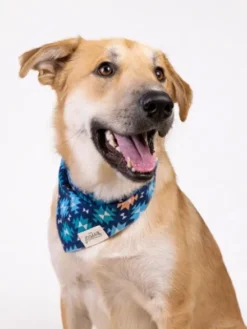 Bandana pour chien - Motif Blue Ridge - The Paws