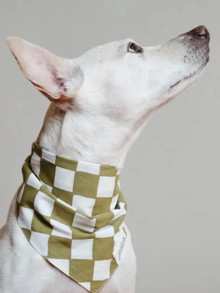 Bandana pour chien - Motif Checkmate ♟️ - The Paws