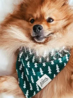 Bandana pour chien - Motif Forest Sapin - The Paws