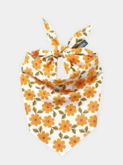 Bandana pour chien - Motif Marigold 🏵️ - The Paws