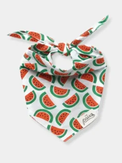 Bandana pour chien - Motif Pastèque 🍉 - The Paws