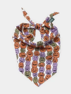 Bandana pour chien - Motif Pumpkin patch 🎃 - The Paws