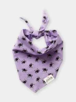 Bandana pour chien - Motif Spiders 🕷️ - The Paws