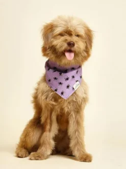 Bandana pour chien - Motif Spiders 🕷️ - The Paws