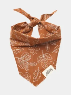 Bandana pour chien - Motif True North - The Paws