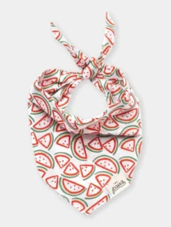 Bandana pour chien - Pastèque Pique Nique - The Paws