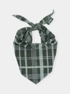 Bandana pour chien - Pine Winter - The Paws