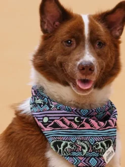 Bandana pour chien - Wild 🌄 - The Paws