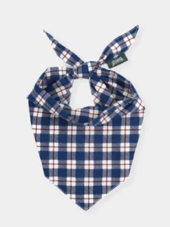 Bandana pour chien - Winter - The Paws