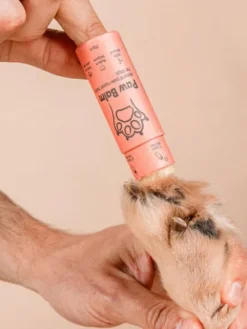 Baume pour chien - Réparateur et protecteur pour les coussinets - Butchcare