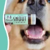 Baume pour chien - Réparation et protection de la truffe - Natural Dog Company