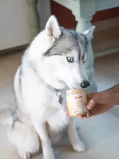 Beurre de cacahuète pour chien - Banane 🍌 et Graine de Lin - inooko