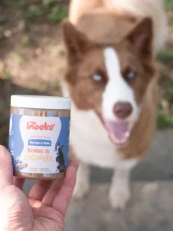 Beurre de cacahuète pour chien - Myrtille 🫐 et Fraise 🍓 - inooko
