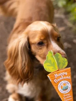 Biscuits de pâques pour chien - Happy Bonbon 🥕 - Cooka's Cookies