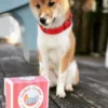 Biscuits Detox pour chien - Quinoa et Betterave - Cooka's Cookies