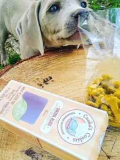 Biscuits Immunitaire pour chien - Curcuma et Patate douce - Cooka's Cookies