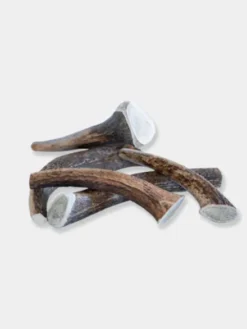 Bois de cerf à mâcher naturel pour chien